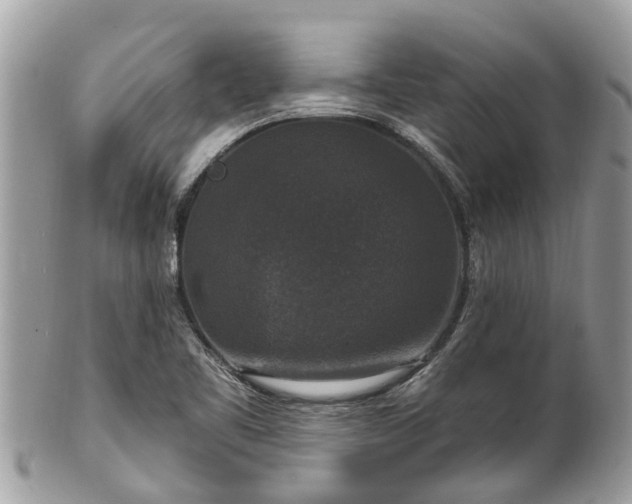 X0000102041461200807251403