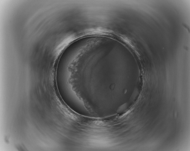 X0000102041463200807251403