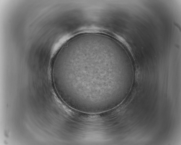 X0000102041464200807251403