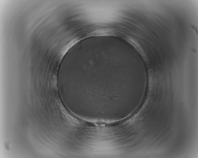 X0000102041465200807251403