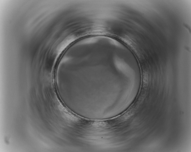 X0000102041466200807251403