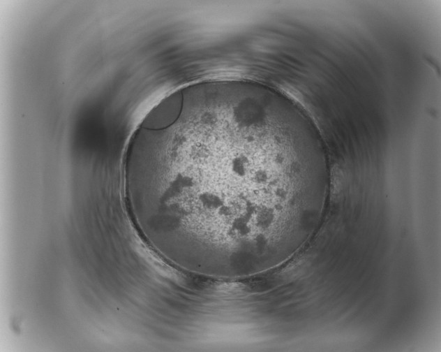 X0000102041467200807251403