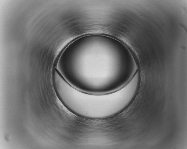 X0000102041468200807251403