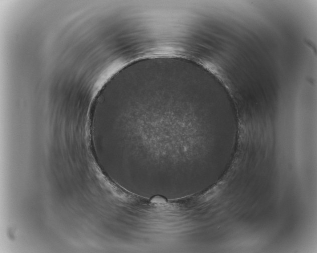 X0000102041469200807251403