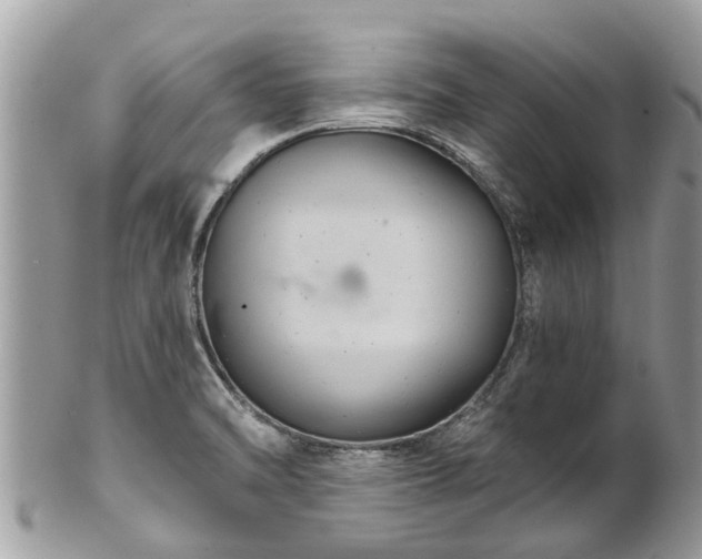 X0000102041470200807251403