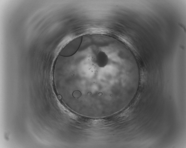 X0000102041471200807251403