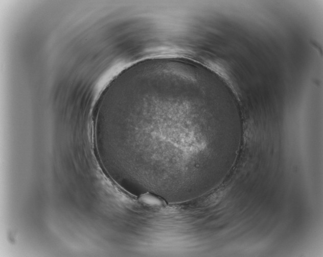 X0000102041472200807251403