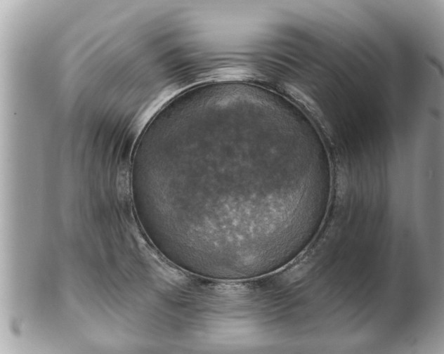 X0000102041473200807251402