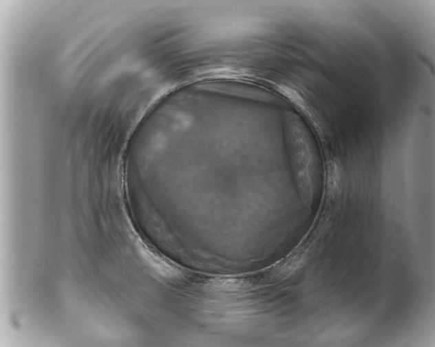 X0000102041474200807251402