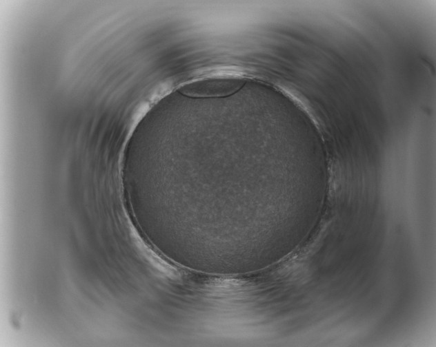 X0000102041475200807251402