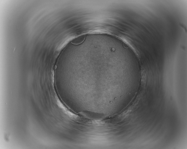 X0000102041476200807251402