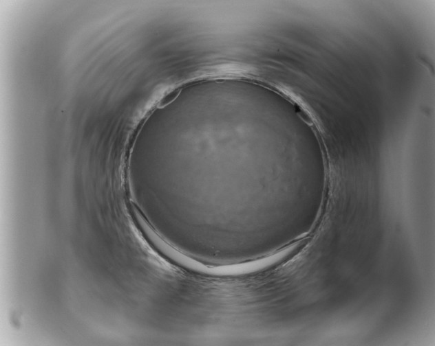 X0000102041477200807251402