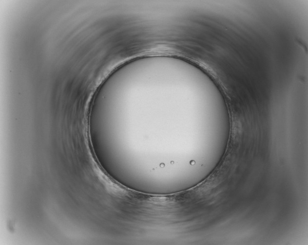 X0000102041478200807251402