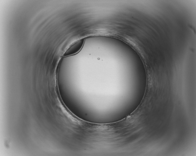 X0000102041479200807251402