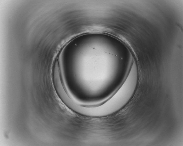 X0000102041480200807251402