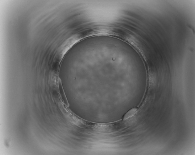 X0000102041481200807251402