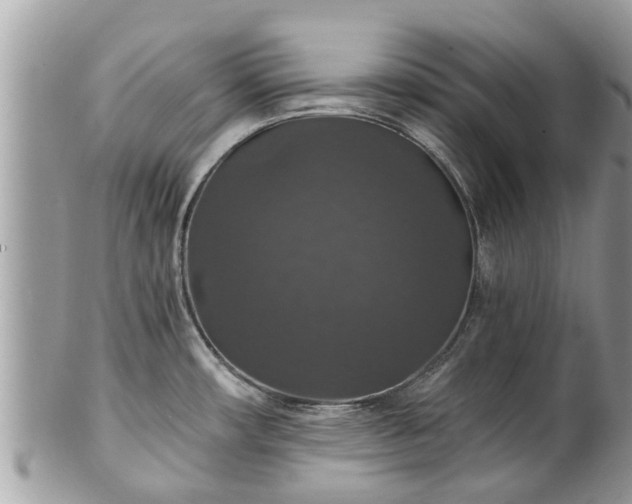 X0000102041482200807251402