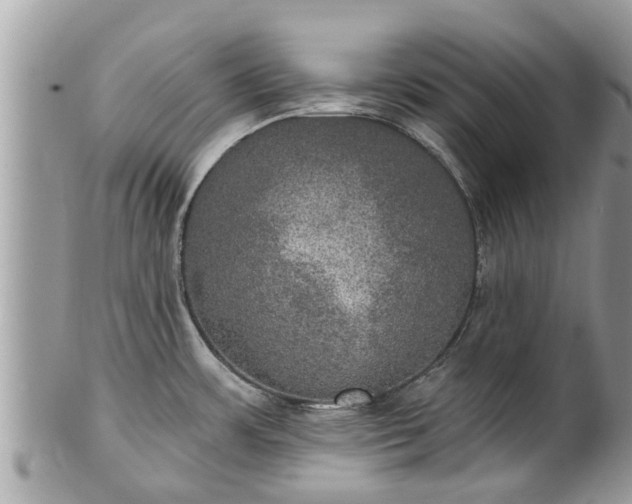 X0000102041483200807251402