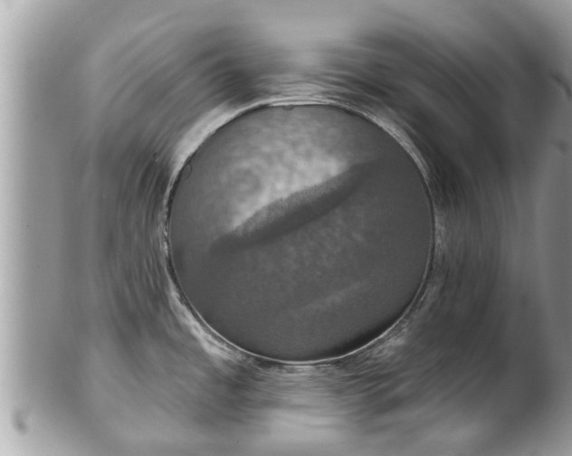 X0000102041485200807251402