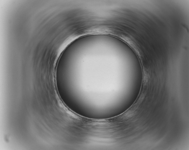 X0000102041486200807251402