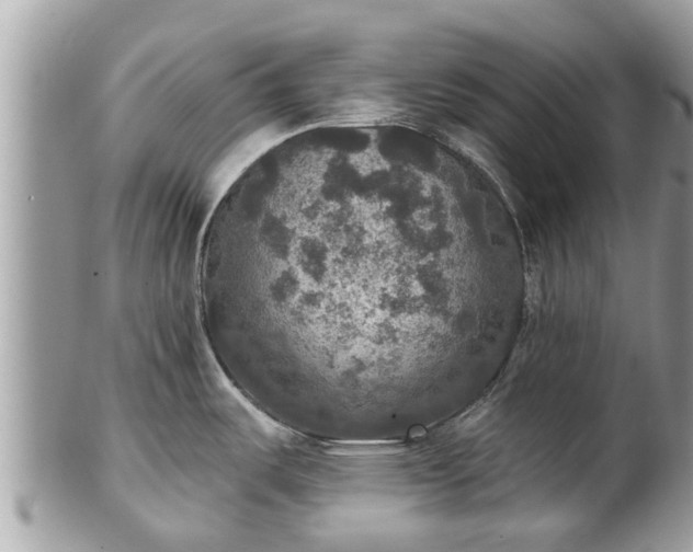 X0000102041487200807251402