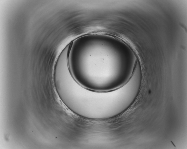 X0000102041488200807251402