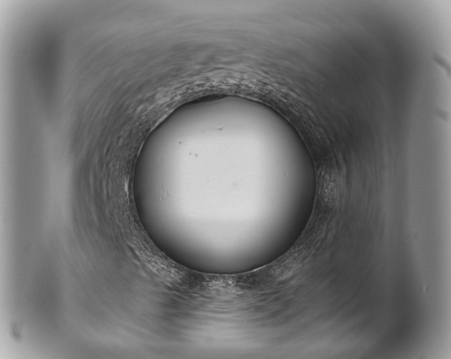 X0000102041489200807251401