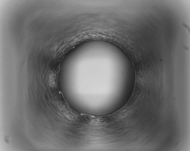 X0000102041490200807251402