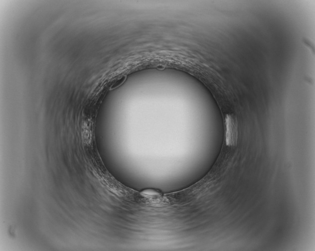 X0000102041491200807251402