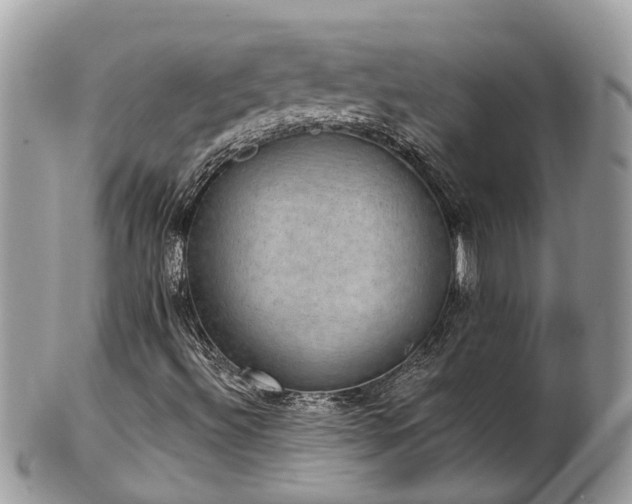 X0000102041492200807251402