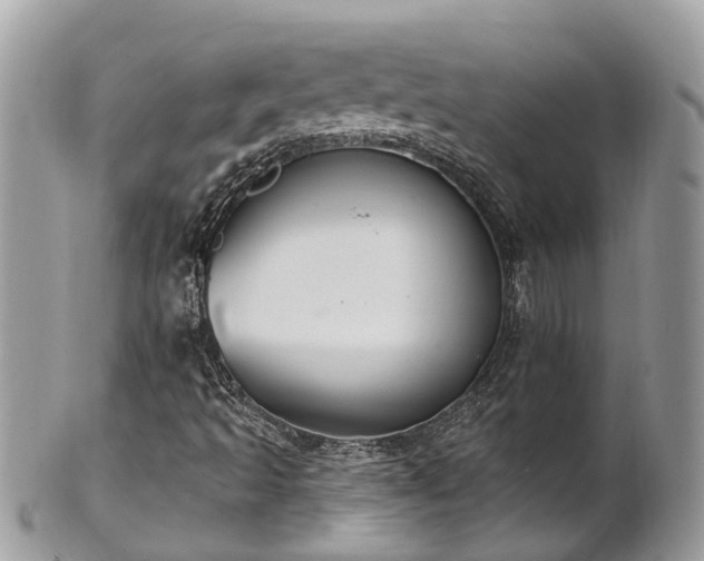 X0000102041493200807251402