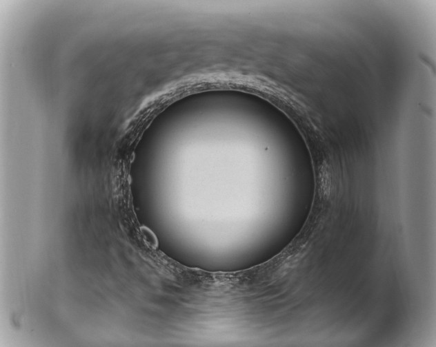 X0000102041494200807251402