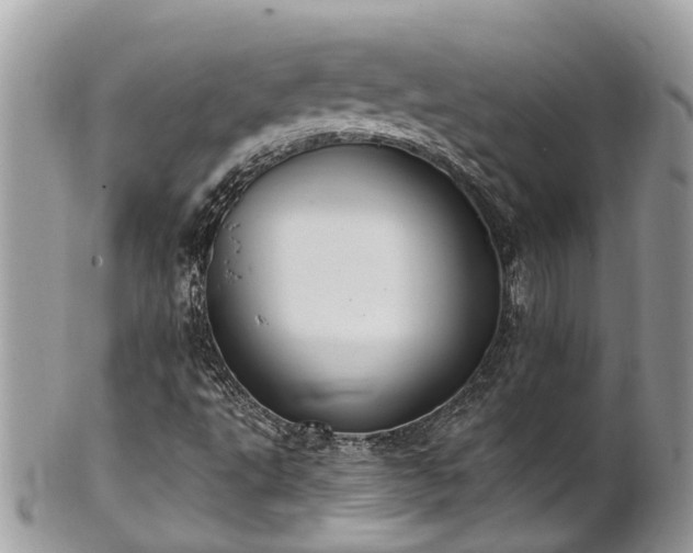 X0000102041495200807251402