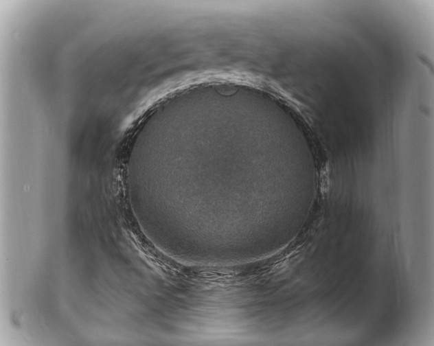 X0000102041496200807251402