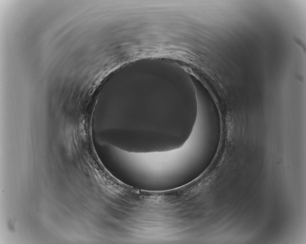 X0000102041497200807251402