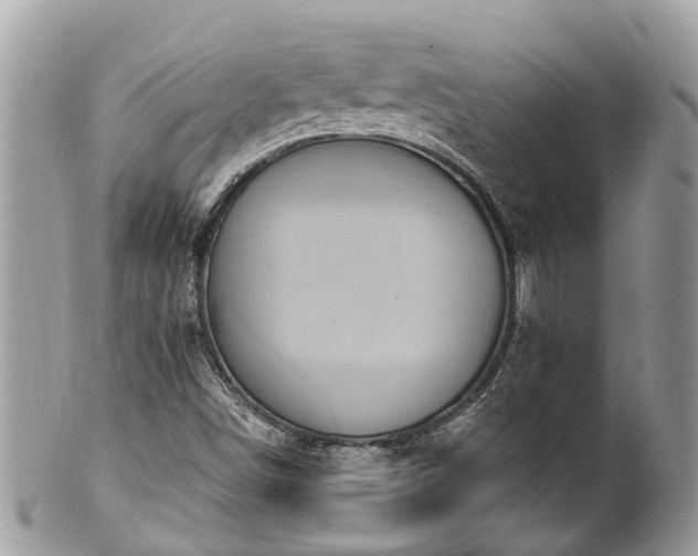 X0000102041498200807251402