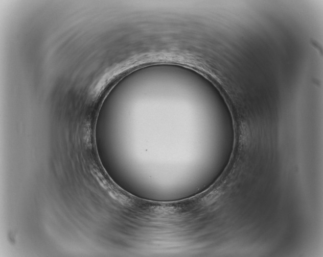 X0000102041499200807251402