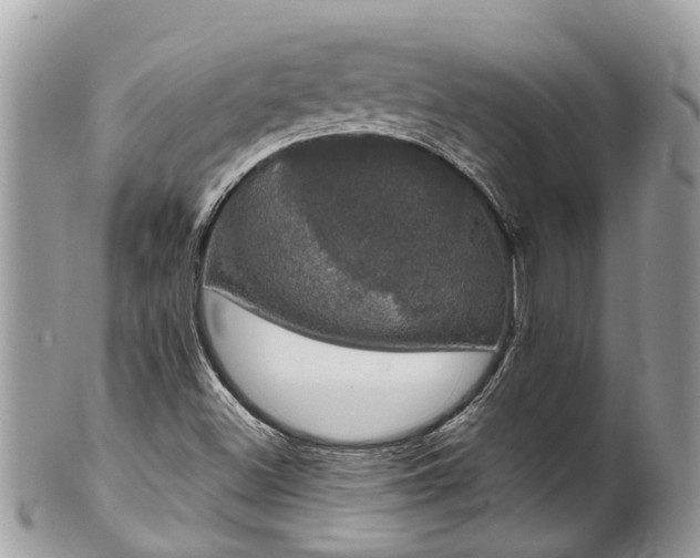 X0000102041500200807251402