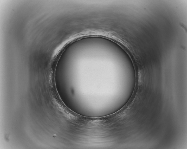 X0000102041502200807251402