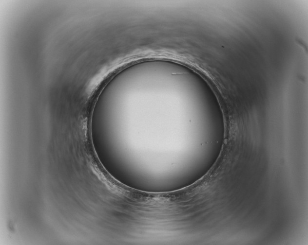 X0000102041503200807251402