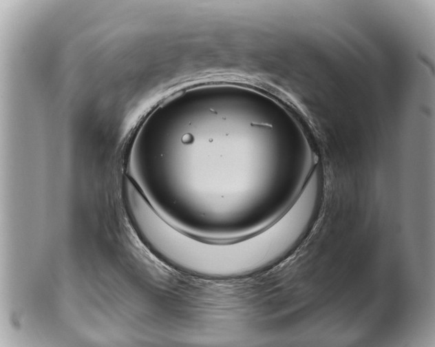 X0000102041504200807251402