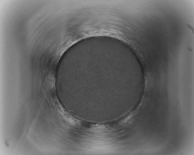 X0000102041505200807251402