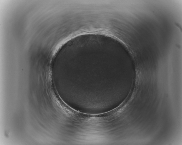 X0000102041506200807251402