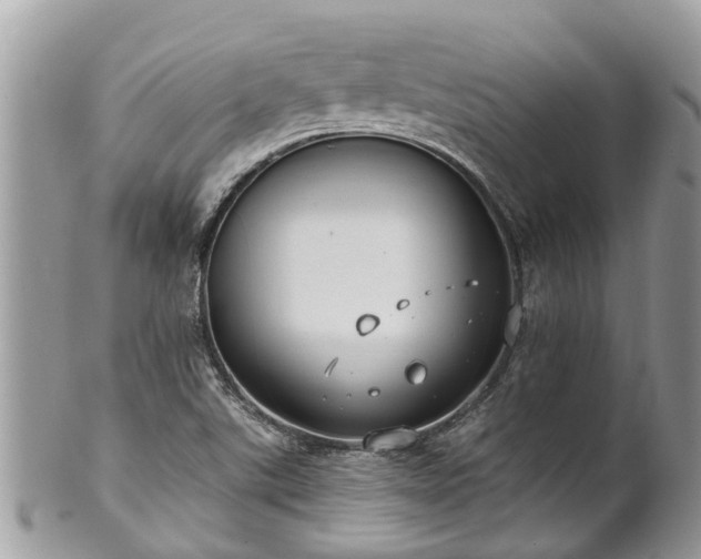 X0000102041507200807251402