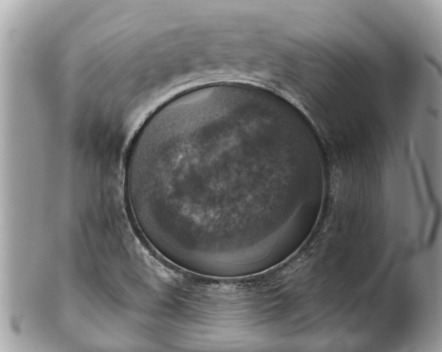 X0000102041508200807251402