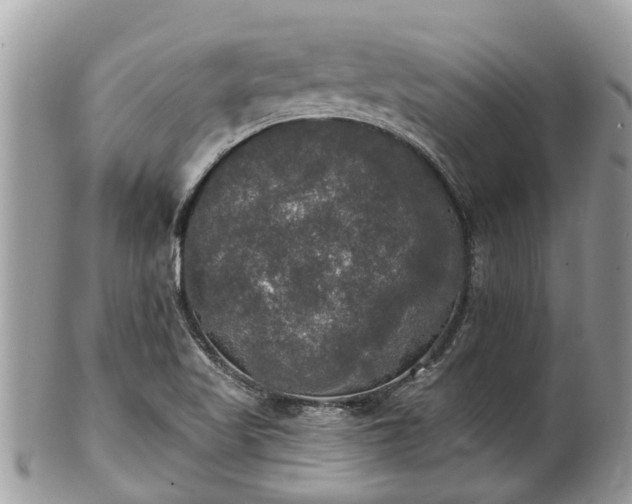 X0000102041509200807251402