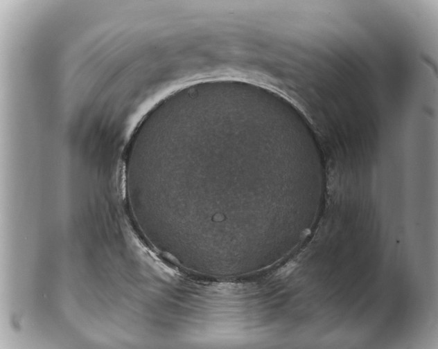 X0000102041510200807251402