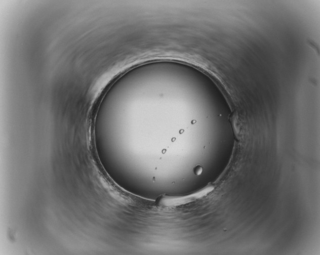 X0000102041511200807251402