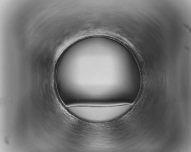 X0000102041512200807251402