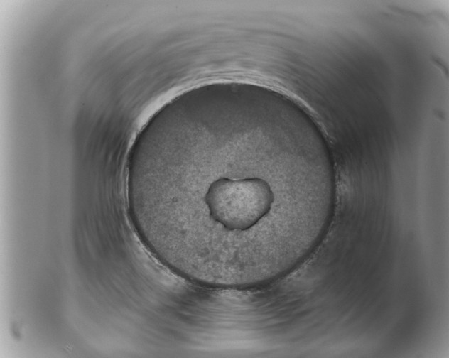 X0000102041514200807251402